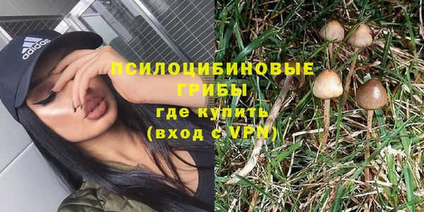 стафф Слюдянка