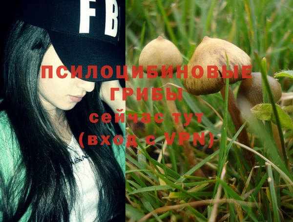 COCAINE Снежинск