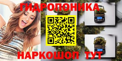дмт Кандалакша