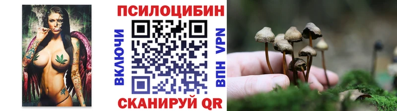 Галлюциногенные грибы Cubensis  где можно купить   Волоколамск 